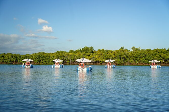 Self Drive BBQ eBoat Cruise with Onboard BBQ Denarau Fiji - The 3 hours on the water: what the day actually looks like