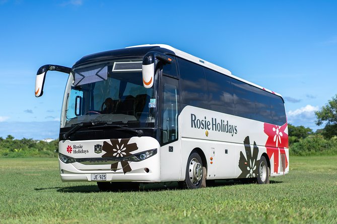 Shared Departure Transfer : Hotel to Airport - Who should book this Nadi hotel to airport transfer?