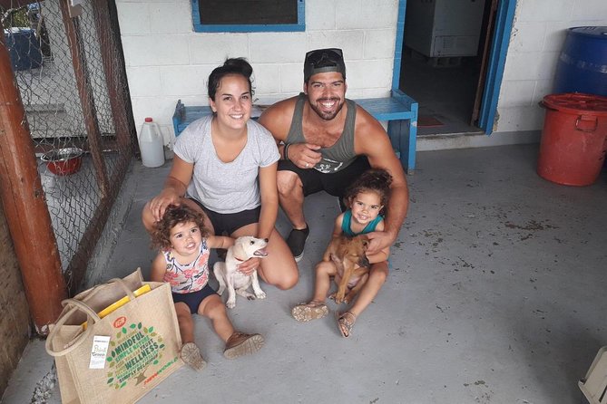 Shelter Visit & Tour - Entering Animals Fiji’s World in Nadi: What This Visit Really Means