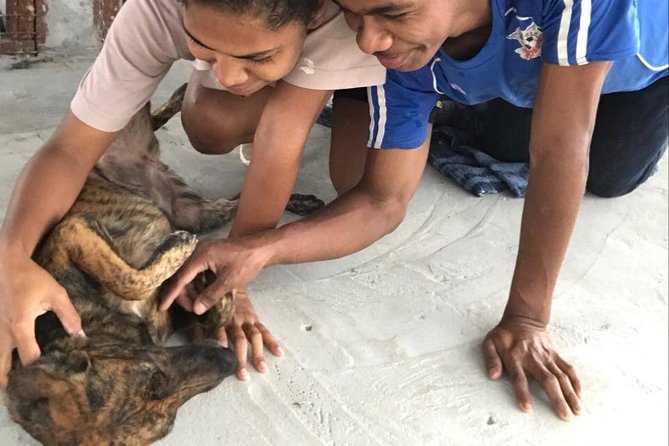Shelter Visit & Tour - How You Help: Playing, Cuddling, and Walking Pets for Adoption