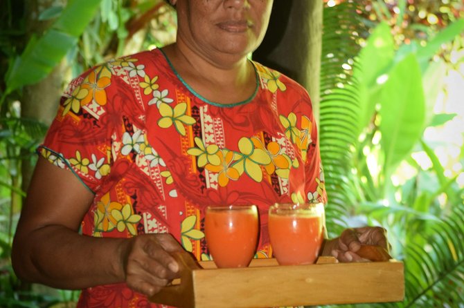Shore Excursion-Nadi Mudpools,Sleeping Giants Gardens,Markets, Temple & Shopping - Nadi in 5 to 6 Hours, Without the Guesswork