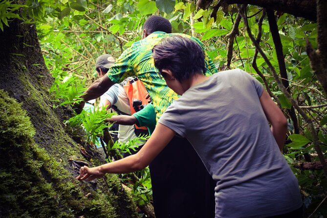Small Group Hiking Adventure - Hidden Peaks - Waterfall Break and What to Pack for the Cooler Time