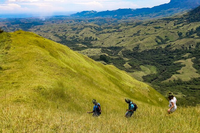 Small Group Hiking Adventure - Hidden Peaks - Forest Walk, Traditional Medicine, and Plant Wisdom