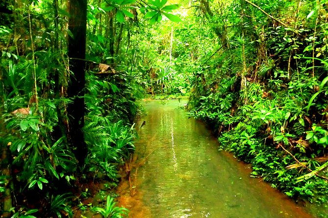 Suva Customized tour- Private - Guide style, English or French, and the small group reality check