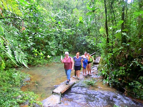 Suva Customized tour- Private - Thurston Botanical Gardens and the Fiji Museum stop