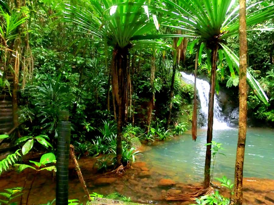 Suva: Fijian Nature and Waterfall Tour - How the drive and safety briefing sets the tone