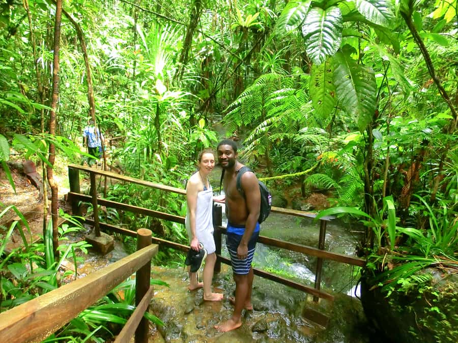 Suva: Fijian Nature and Waterfall Tour - Barbecue option and how to think about it