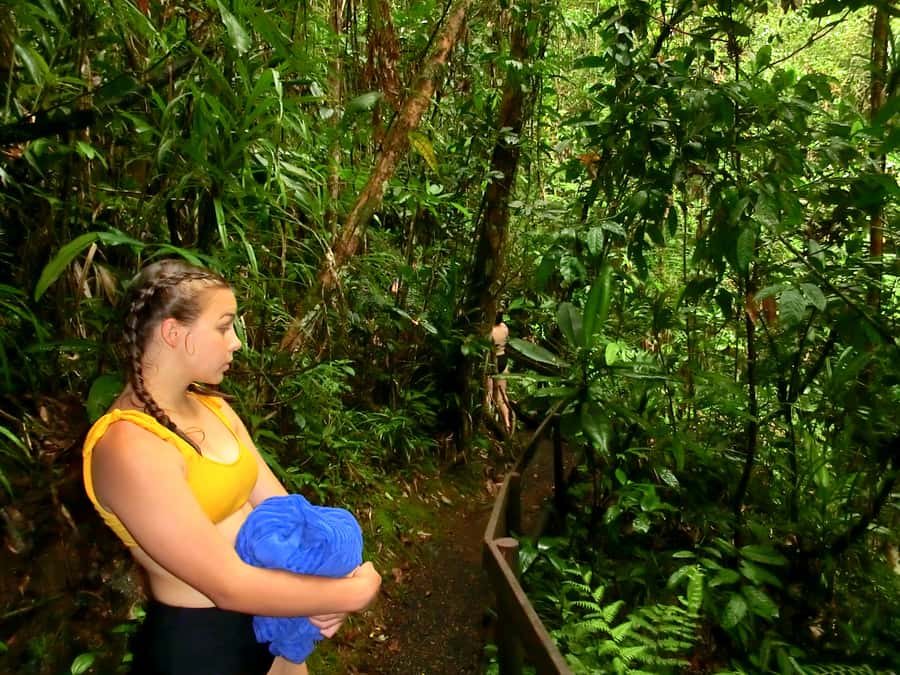 Suva: Fijian Nature and Waterfall Tour - Private guiding: the difference you’ll feel on the trail