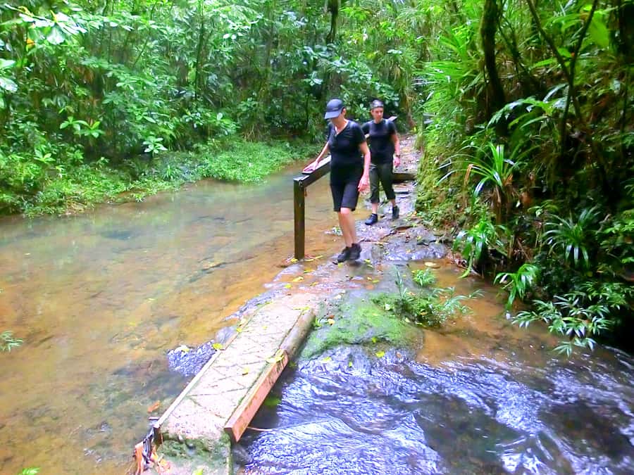 Suva: Fijian Nature and Waterfall Tour - Practical tips so you enjoy it, not just survive it