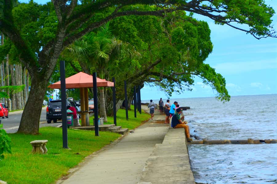 Suva: Half Day City Sightseeing Tour - Government Handicraft Center, where the buying should feel easier