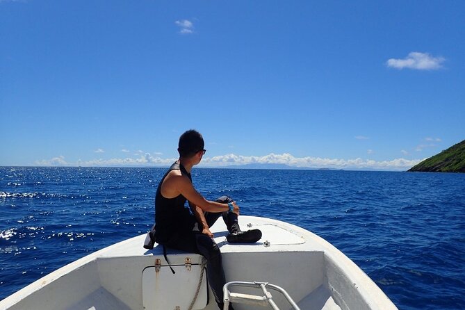 Ultimate Encounter Snorkel with Sharks in Fiji - Should you book Ultimate Encounter Snorkel with Sharks?