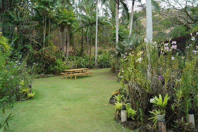 Vuda Lookout, Vesisei Village, Market, Temple & Garden of Sleeping Giant Tour - A half-day loop from Nadi that actually changes your scenery