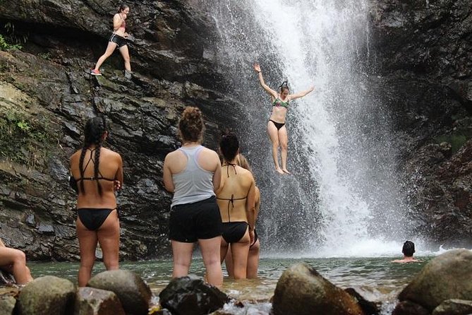 Waterfall and Fijian Village Tour with Light Lunch ex Nadi Area Hotels - Key things I think you’ll like