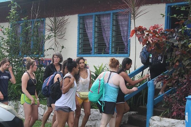 Waterfall and Fijian Village Tour with Light Lunch ex Nadi Area Hotels - The village welcome and chief meeting: where the day really starts