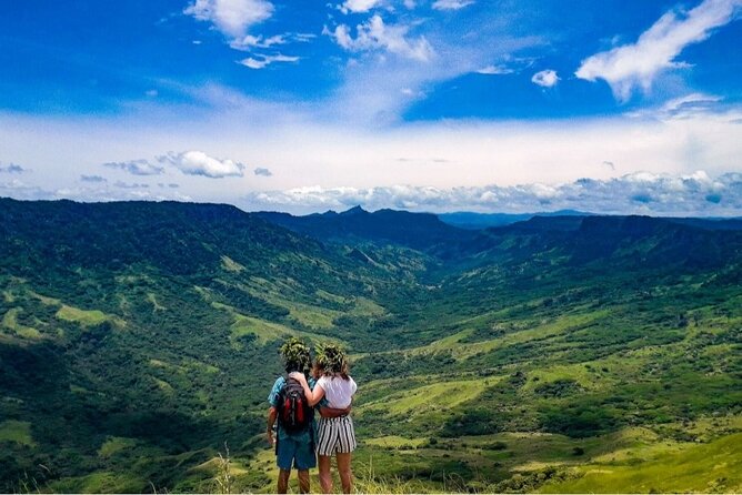 Waterfall and Fijian Village Tour with Light Lunch ex Nadi Area Hotels - Light lunch and the real cost trade-off