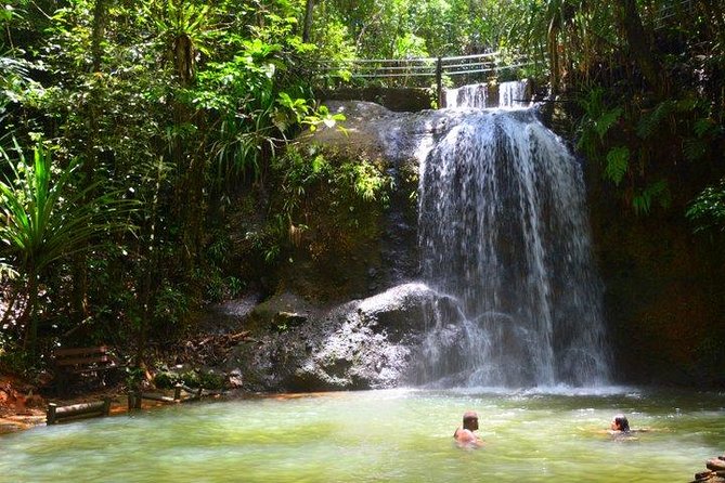Waterfalls and Nature Tour - Key highlights you should know before you go
