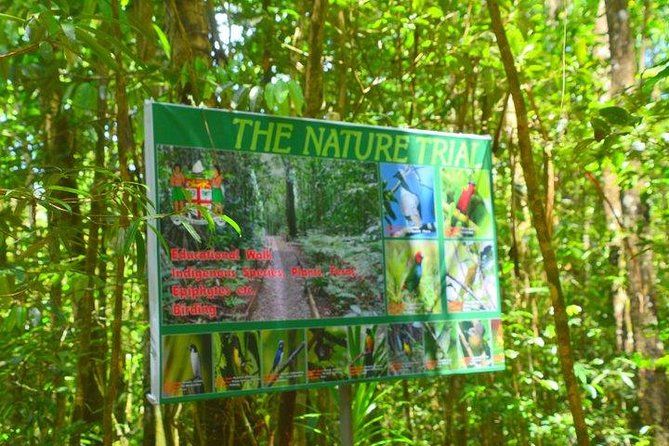 Waterfalls and Nature Tour - The private Kay Services Tour experience, and why the host matters