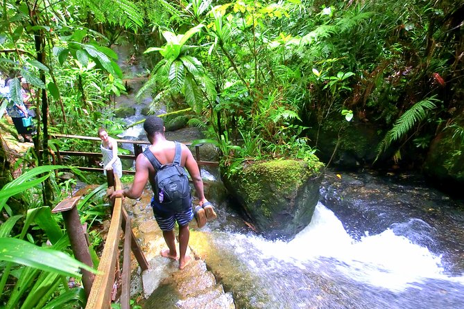 Waterfalls and Nature Tour - Stop-by-stop: what the walk to the pools and falls feels like
