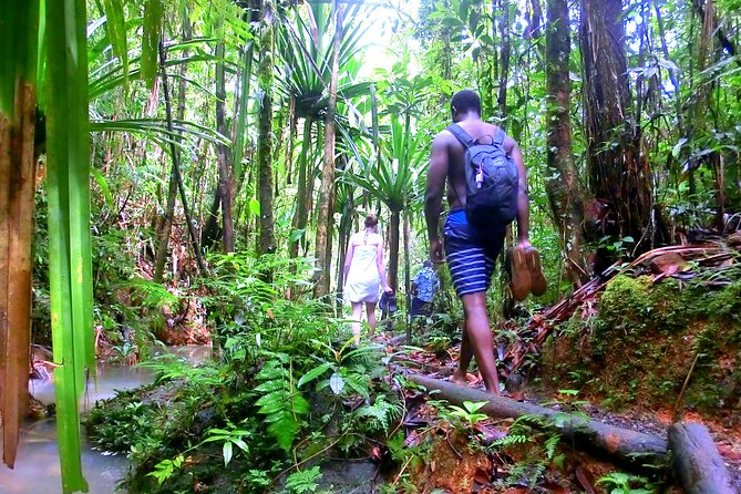 Waterfalls and Nature Tour - Waisila Falls: where the photos and the atmosphere happen