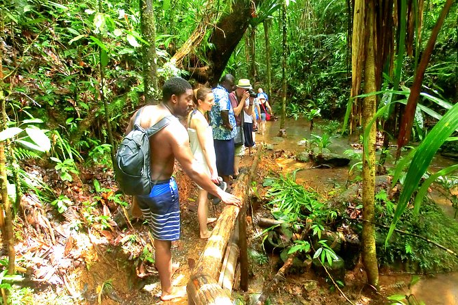 Waterfalls and Nature Tour - Natural swimming pools: refreshing fun with real-world cautions