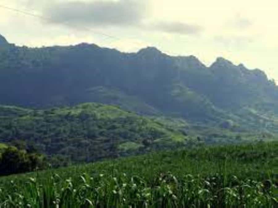 Zipline, Cave, Seaview & Mud Spa Tour with Lunch Included - Price and value: when $189 makes sense, and when it won’t
